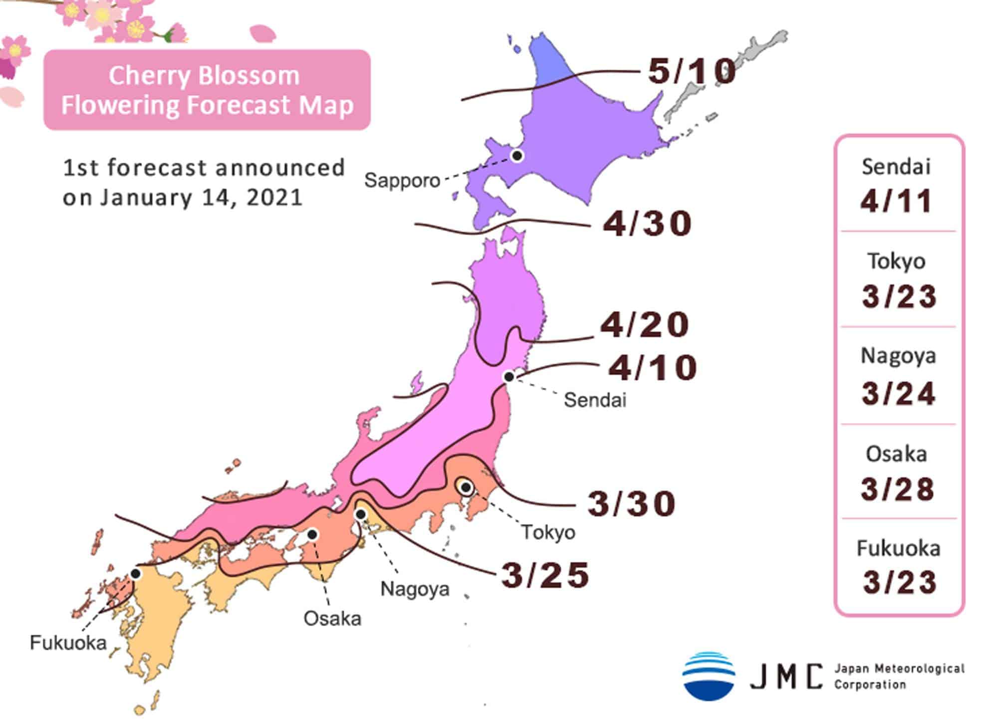 Japan’s Cherry Blossoms When is Cherry Blossom Season in Japan