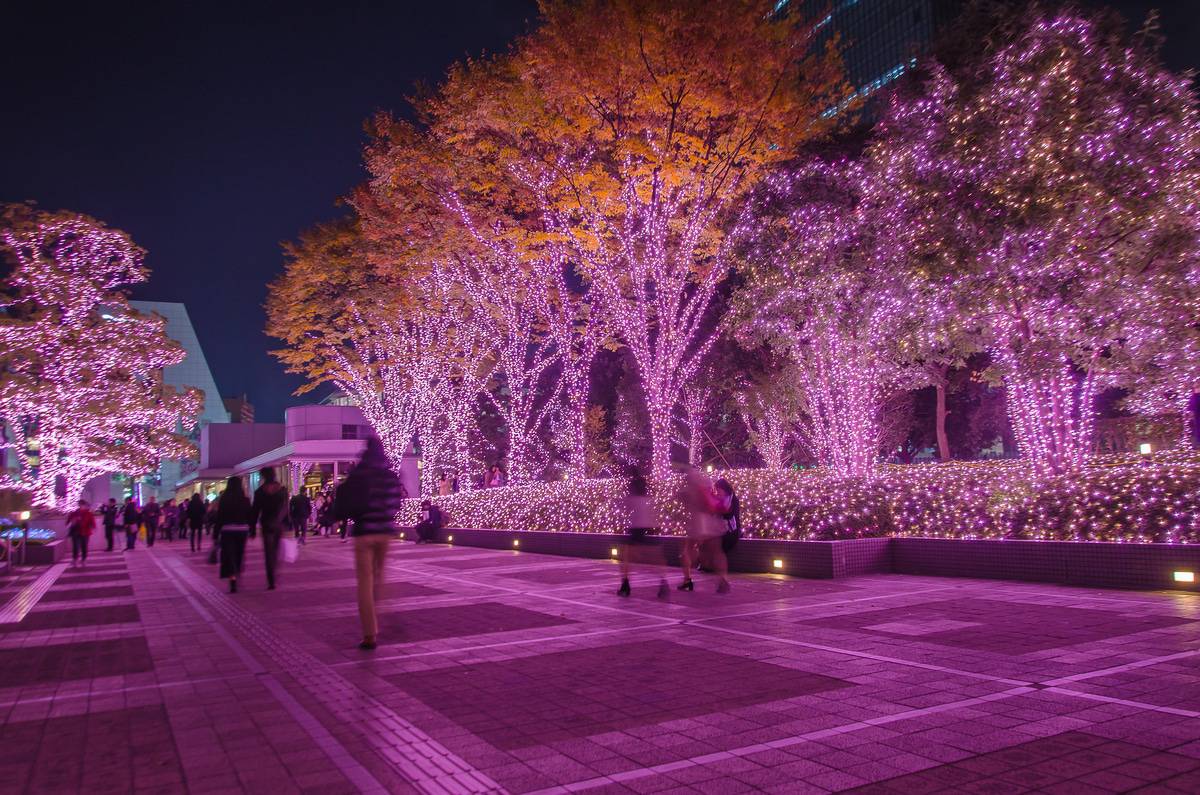 Shinjuku Terrace City Illumination in tokyo , Japan