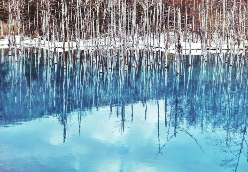 Blue Pond at Biei, Hokkaido, Japan