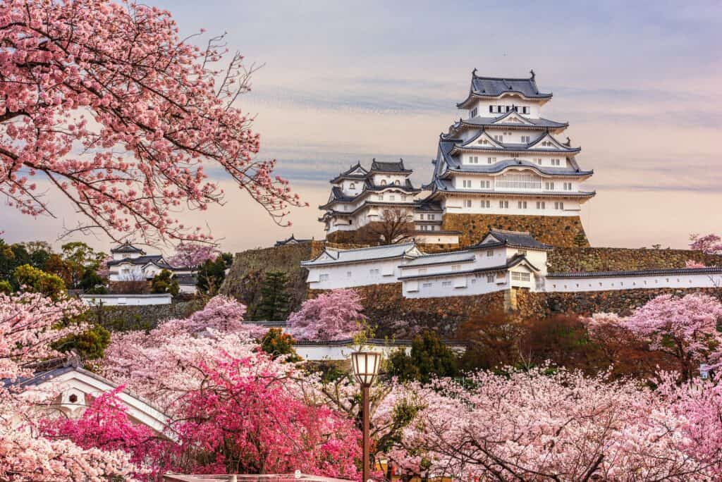 Himeji, Japan at Himeji Castle during Spring Cherry Blossom Season